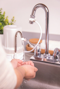 Alka Beauty - Our Newest Facial Filter